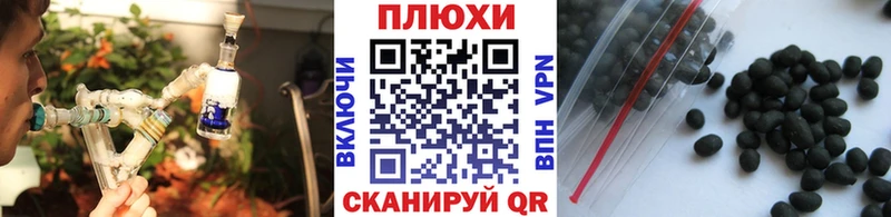 ГАШИШ VHQ Сураж