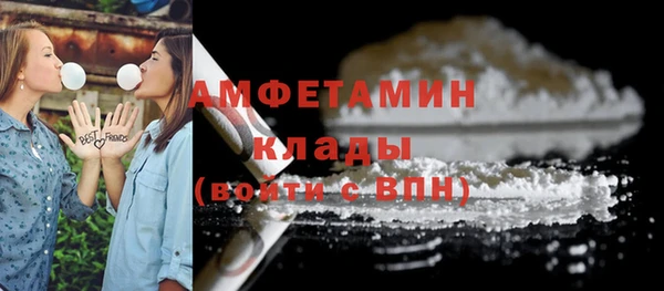 индика Майский