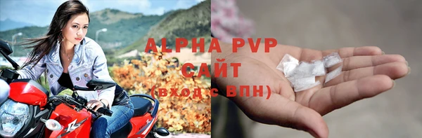 индика Майский