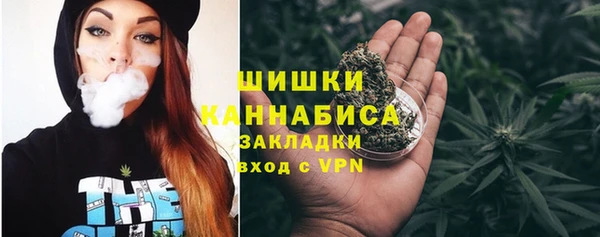 индика Майский