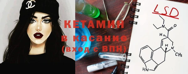 индика Майский