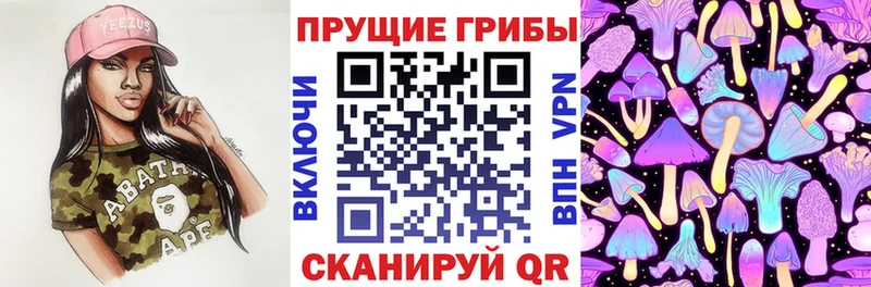 цена наркотик Сураж Галлюциногенные грибы ЛСД