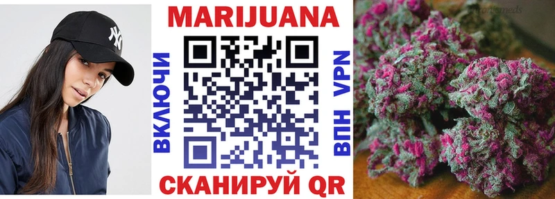 Каннабис Amnesia Сураж